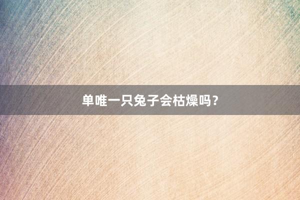 单唯一只兔子会枯燥吗？