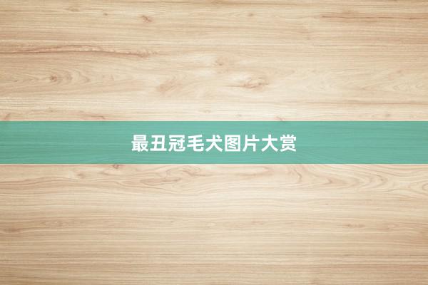 最丑冠毛犬图片大赏