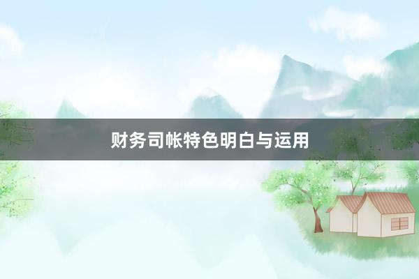 财务司帐特色明白与运用